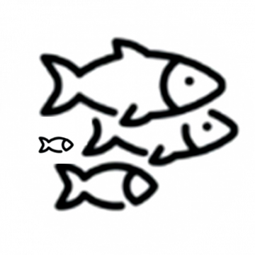 4 x Family Membership 